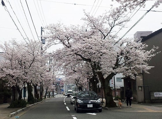 鉄　は　熱　い　う　ち　に　打　て　　　　(*ﾟ∀ﾟ)=3ﾑｯﾊｰ