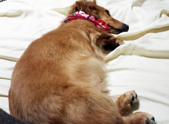 鉄　は　熱　い　う　ち　に　打　て　　　　(*ﾟ∀ﾟ)=3ﾑｯﾊｰ