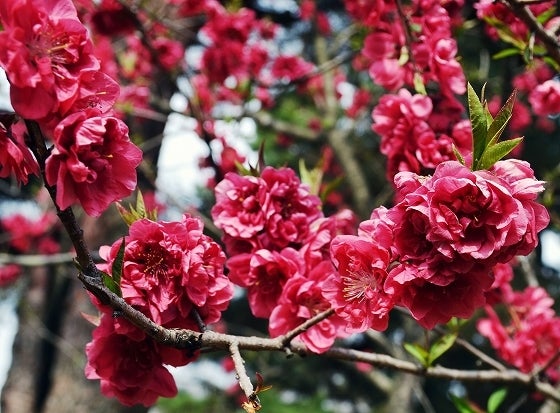 鉄　は　熱　い　う　ち　に　打　て　　　　(*ﾟ∀ﾟ)=3ﾑｯﾊｰ