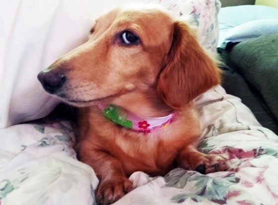 鉄　は　熱　い　う　ち　に　打　て　　　　(*ﾟ∀ﾟ)=3ﾑｯﾊｰ