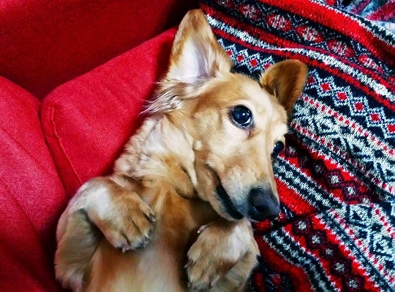 鉄　は　熱　い　う　ち　に　打　て　　　　(*ﾟ∀ﾟ)=3ﾑｯﾊｰ