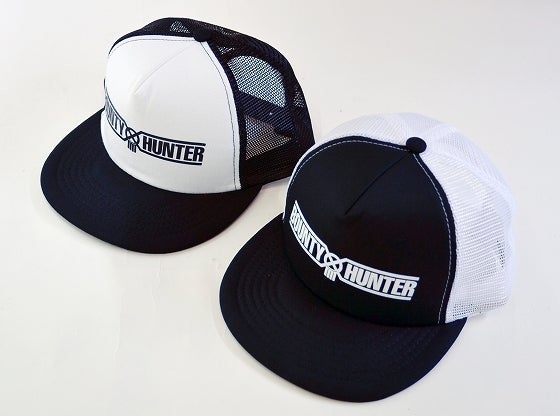 鉄　は　熱　い　う　ち　に　打　て　　　　(*ﾟ∀ﾟ)=3ﾑｯﾊｰ