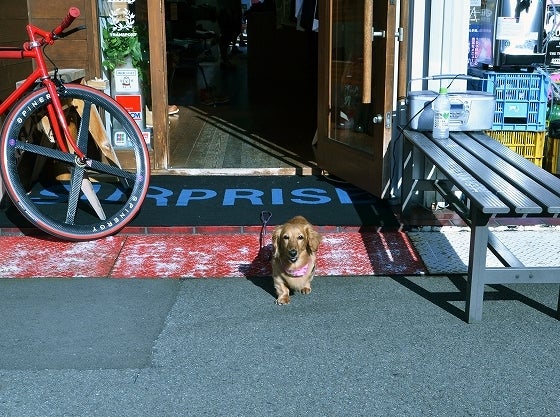 鉄　は　熱　い　う　ち　に　打　て　　　　(*ﾟ∀ﾟ)=3ﾑｯﾊｰ