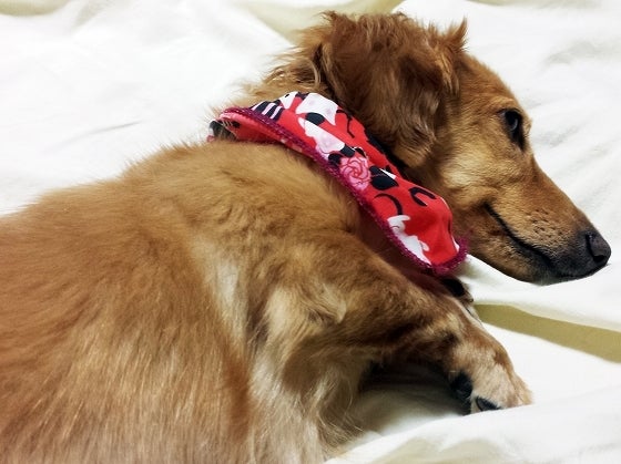 鉄　は　熱　い　う　ち　に　打　て　　　　(*ﾟ∀ﾟ)=3ﾑｯﾊｰ