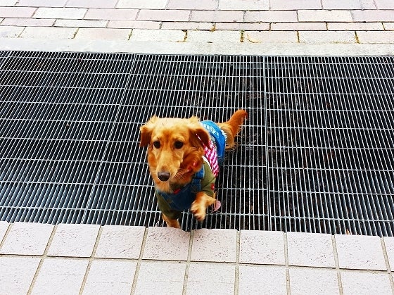 鉄　は　熱　い　う　ち　に　打　て　　　　(*ﾟ∀ﾟ)=3ﾑｯﾊｰ