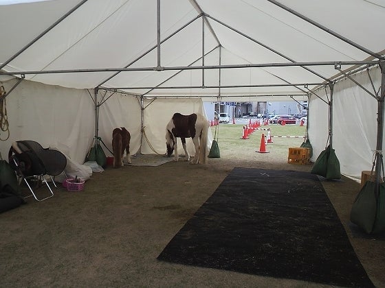 鉄　は　熱　い　う　ち　に　打　て　　　　(*ﾟ∀ﾟ)=3ﾑｯﾊｰ