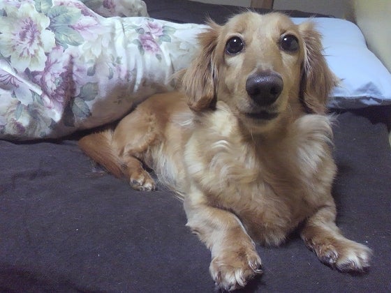 鉄　は　熱　い　う　ち　に　打　て　　　　(*ﾟ∀ﾟ)=3ﾑｯﾊｰ