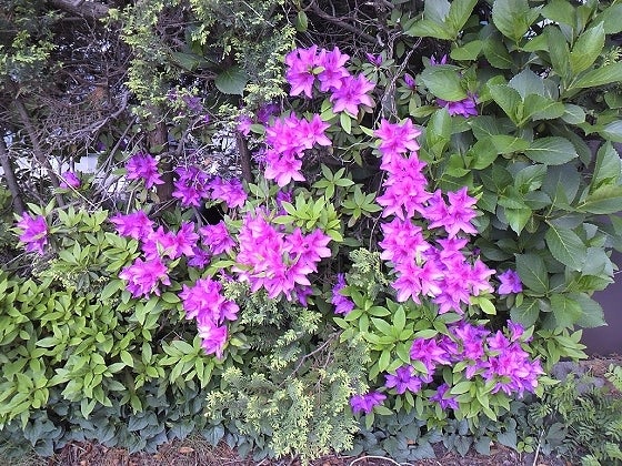 鉄　は　熱　い　う　ち　に　打　て　　　　(*ﾟ∀ﾟ)=3ﾑｯﾊｰ