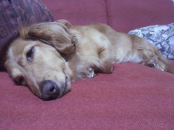 鉄　は　熱　い　う　ち　に　打　て　　　　(*ﾟ∀ﾟ)=3ﾑｯﾊｰ