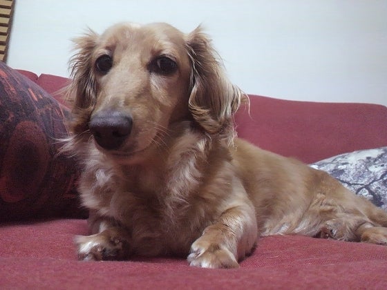 鉄　は　熱　い　う　ち　に　打　て　　　　(*ﾟ∀ﾟ)=3ﾑｯﾊｰ