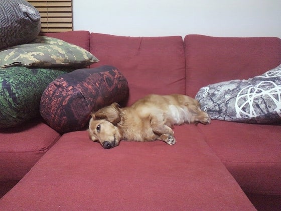 鉄　は　熱　い　う　ち　に　打　て　　　　(*ﾟ∀ﾟ)=3ﾑｯﾊｰ