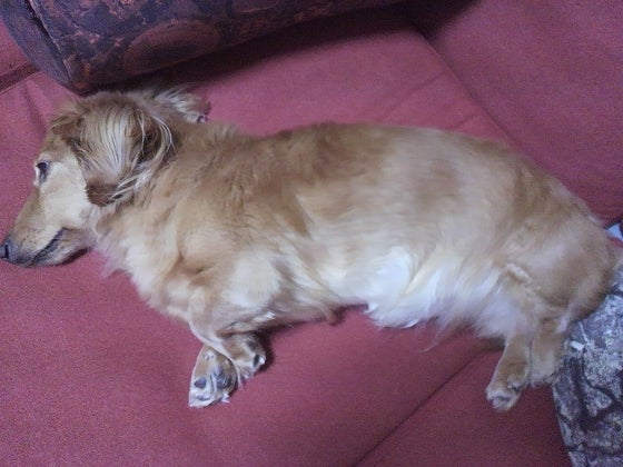 鉄　は　熱　い　う　ち　に　打　て　　　　(*ﾟ∀ﾟ)=3ﾑｯﾊｰ