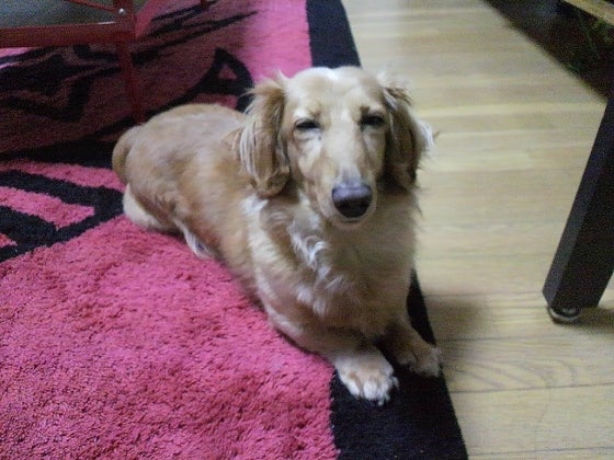 鉄　は　熱　い　う　ち　に　打　て　　　　(*ﾟ∀ﾟ)=3ﾑｯﾊｰ