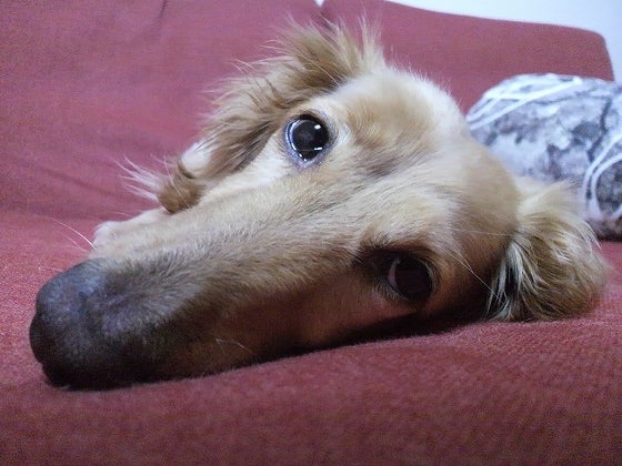 鉄　は　熱　い　う　ち　に　打　て　　　　(*ﾟ∀ﾟ)=3ﾑｯﾊｰ