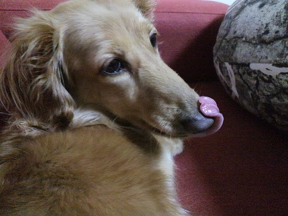 鉄　は　熱　い　う　ち　に　打　て　　　　(*ﾟ∀ﾟ)=3ﾑｯﾊｰ