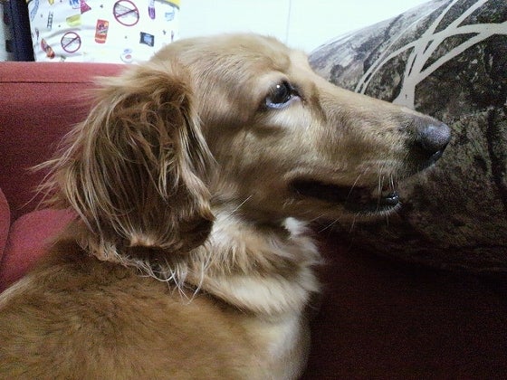 鉄　は　熱　い　う　ち　に　打　て　　　　(*ﾟ∀ﾟ)=3ﾑｯﾊｰ