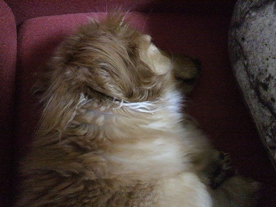 鉄　は　熱　い　う　ち　に　打　て　　　　(*ﾟ∀ﾟ)=3ﾑｯﾊｰ