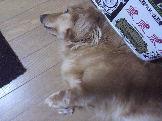 鉄　は　熱　い　う　ち　に　打　て　　　　(*ﾟ∀ﾟ)=3ﾑｯﾊｰ