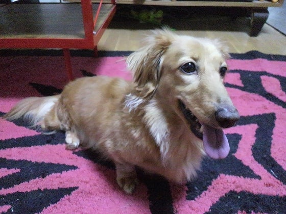 鉄　は　熱　い　う　ち　に　打　て　　　　(*ﾟ∀ﾟ)=3ﾑｯﾊｰ