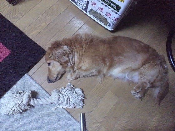 鉄　は　熱　い　う　ち　に　打　て　　　　(*ﾟ∀ﾟ)=3ﾑｯﾊｰ