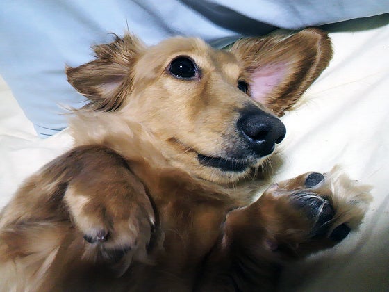 鉄　は　熱　い　う　ち　に　打　て　　　　(*ﾟ∀ﾟ)=3ﾑｯﾊｰ