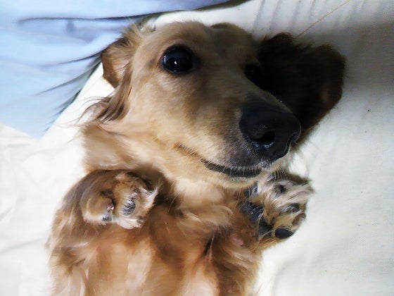 鉄　は　熱　い　う　ち　に　打　て　　　　(*ﾟ∀ﾟ)=3ﾑｯﾊｰ