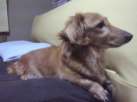 鉄　は　熱　い　う　ち　に　打　て　　　　(*ﾟ∀ﾟ)=3ﾑｯﾊｰ