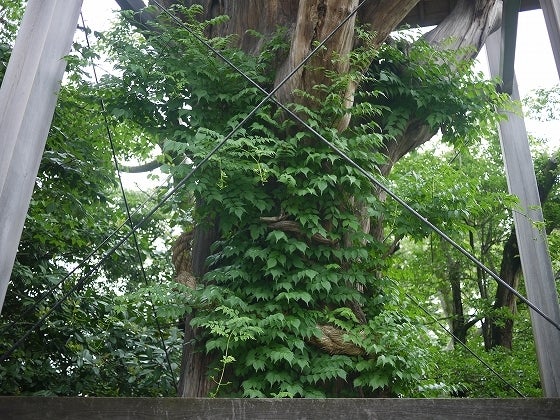 鉄　は　熱　い　う　ち　に　打　て　　　　(*ﾟ∀ﾟ)=3ﾑｯﾊｰ