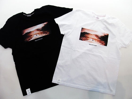 鉄　は　熱　い　う　ち　に　打　て　　　　(*ﾟ∀ﾟ)=3ﾑｯﾊｰ