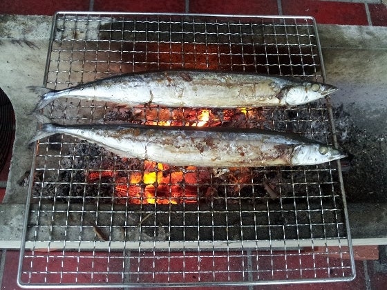 鉄　は　熱　い　う　ち　に　打　て　　　　(*ﾟ∀ﾟ)=3ﾑｯﾊｰ