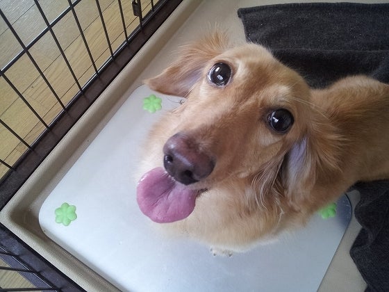 鉄　は　熱　い　う　ち　に　打　て　　　　(*ﾟ∀ﾟ)=3ﾑｯﾊｰ