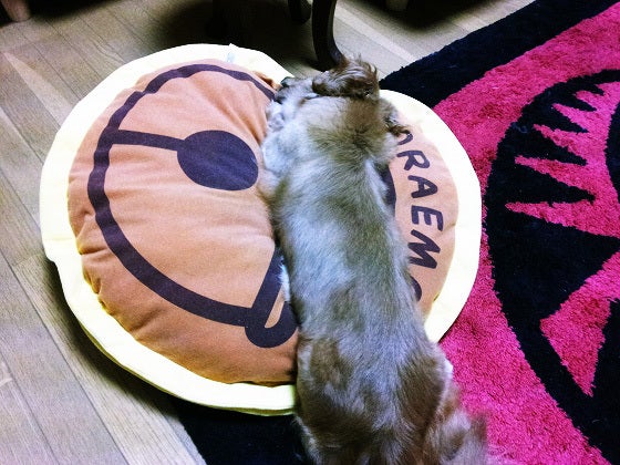 鉄　は　熱　い　う　ち　に　打　て　　　　(*ﾟ∀ﾟ)=3ﾑｯﾊｰ