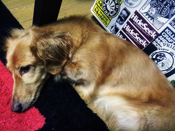 鉄　は　熱　い　う　ち　に　打　て　　　　(*ﾟ∀ﾟ)=3ﾑｯﾊｰ