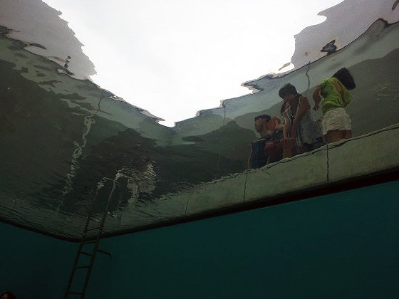 鉄 は 熱 い う ち に 打 て (*゚∀゚)=3ムッハー