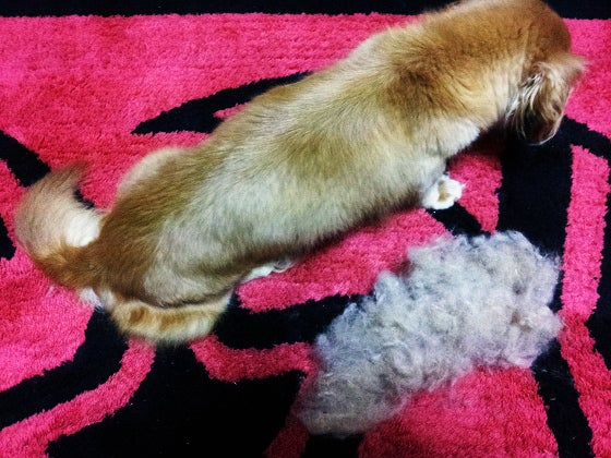 鉄　は　熱　い　う　ち　に　打　て　　　　(*ﾟ∀ﾟ)=3ﾑｯﾊｰ