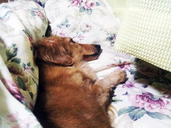 鉄　は　熱　い　う　ち　に　打　て　　　　(*ﾟ∀ﾟ)=3ﾑｯﾊｰ