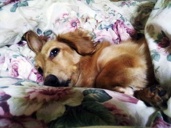 鉄　は　熱　い　う　ち　に　打　て　　　　(*ﾟ∀ﾟ)=3ﾑｯﾊｰ