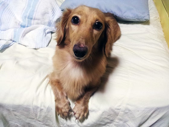 鉄　は　熱　い　う　ち　に　打　て　　　　(*ﾟ∀ﾟ)=3ﾑｯﾊｰ