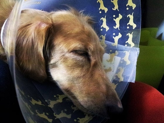 鉄　は　熱　い　う　ち　に　打　て　　　　(*ﾟ∀ﾟ)=3ﾑｯﾊｰ