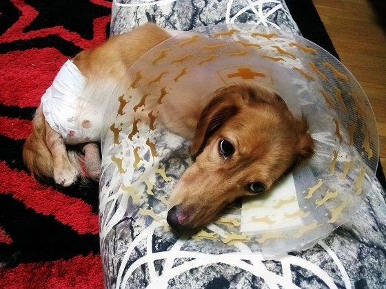 鉄　は　熱　い　う　ち　に　打　て　　　　(*ﾟ∀ﾟ)=3ﾑｯﾊｰ