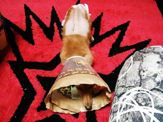 鉄　は　熱　い　う　ち　に　打　て　　　　(*ﾟ∀ﾟ)=3ﾑｯﾊｰ