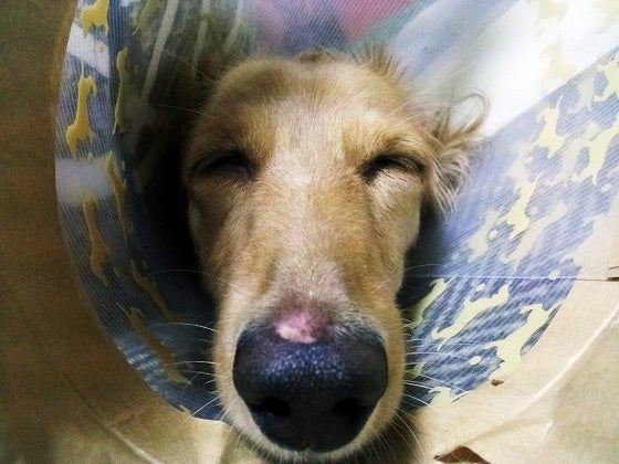 鉄　は　熱　い　う　ち　に　打　て　　　　(*ﾟ∀ﾟ)=3ﾑｯﾊｰ