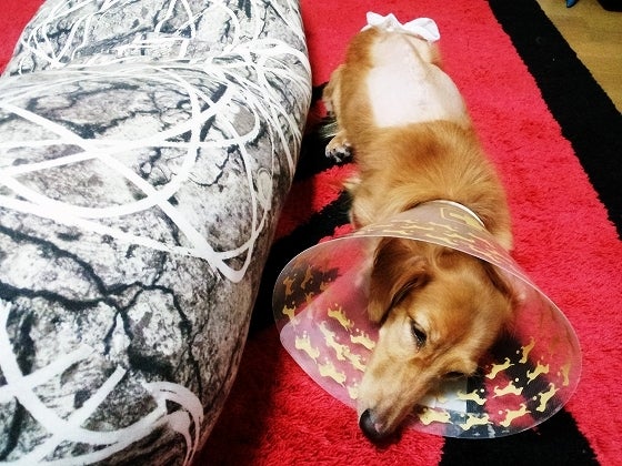 鉄　は　熱　い　う　ち　に　打　て　　　　(*ﾟ∀ﾟ)=3ﾑｯﾊｰ