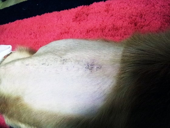 鉄　は　熱　い　う　ち　に　打　て　　　　(*ﾟ∀ﾟ)=3ﾑｯﾊｰ