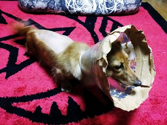 鉄　は　熱　い　う　ち　に　打　て　　　　(*ﾟ∀ﾟ)=3ﾑｯﾊｰ