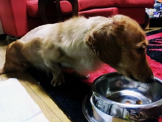 鉄　は　熱　い　う　ち　に　打　て　　　　(*ﾟ∀ﾟ)=3ﾑｯﾊｰ