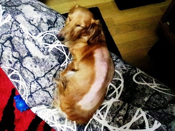 鉄　は　熱　い　う　ち　に　打　て　　　　(*ﾟ∀ﾟ)=3ﾑｯﾊｰ