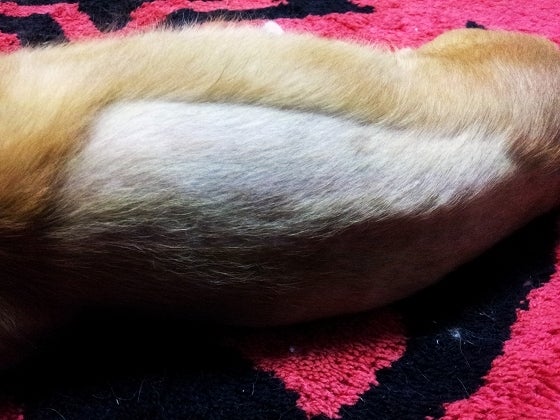 鉄　は　熱　い　う　ち　に　打　て　　　　(*ﾟ∀ﾟ)=3ﾑｯﾊｰ