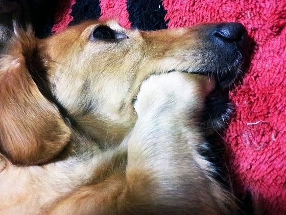 鉄　は　熱　い　う　ち　に　打　て　　　　(*ﾟ∀ﾟ)=3ﾑｯﾊｰ