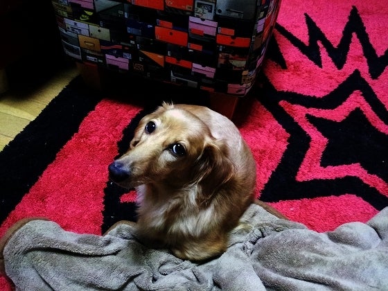 鉄　は　熱　い　う　ち　に　打　て　　　　(*ﾟ∀ﾟ)=3ﾑｯﾊｰ